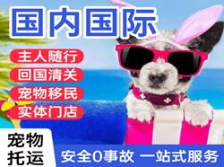 阿勒泰雪都航空快递国际宠物托运 【国