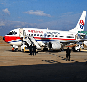 阿勒泰雪都航空快递航空快运业稳步发展的原因是什么？